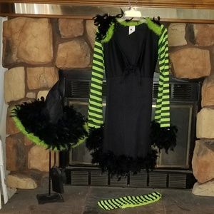 EUC Fantastic Witch costume.